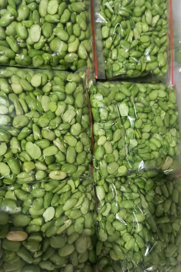 کدبانو 1